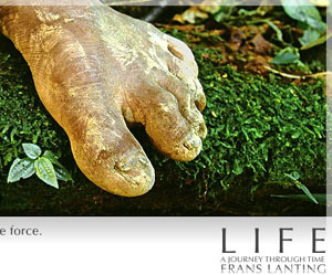 Franz Lanting - Life: A Journey Through Time.